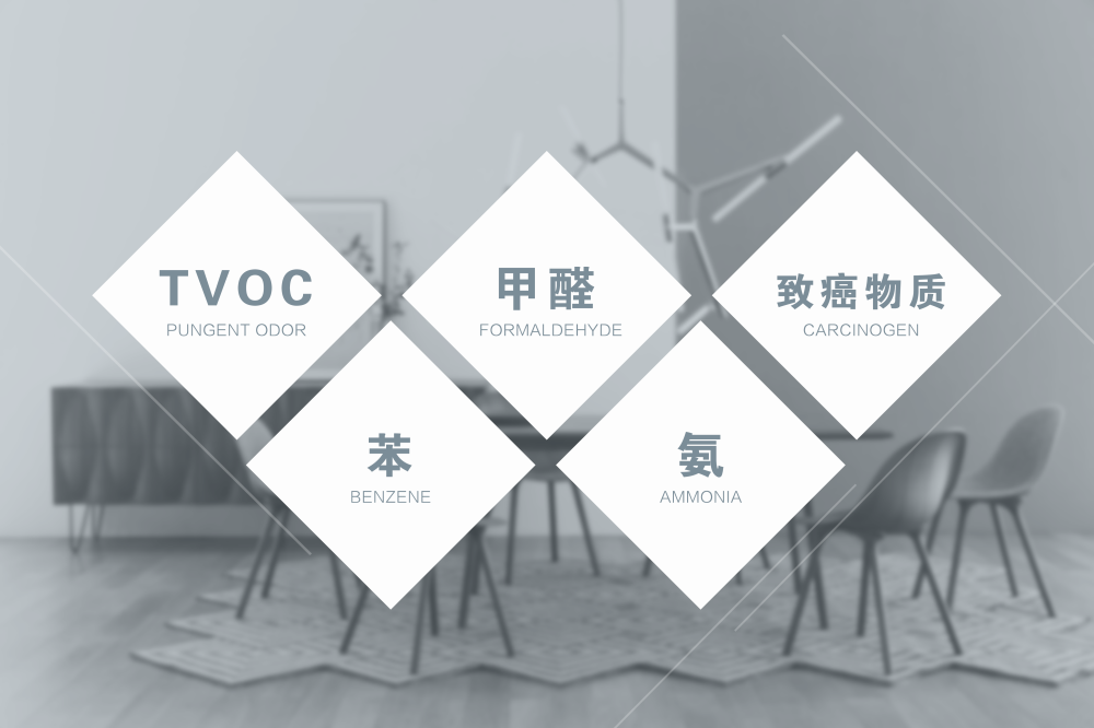 微信圖片_20250802193953.png